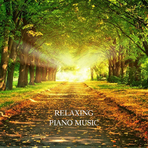 三级片视频播放
