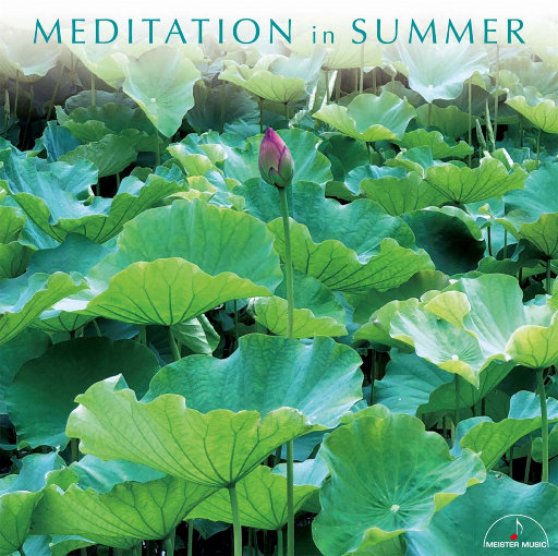 三级片视频播放
